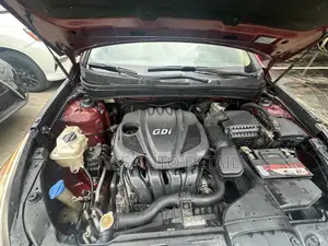 Hyundai Sonata Limited Sedan FWD (2.4L 4cyl 6A) 2011 Red