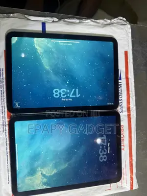Apple iPad mini 6 256 GB Gray