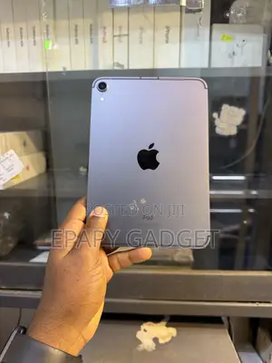 Apple iPad mini 6 256 GB Gray