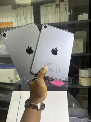 Apple iPad mini 6 256 GB Gray