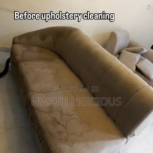Professional House Cleaning, Couch Washing Fumigation