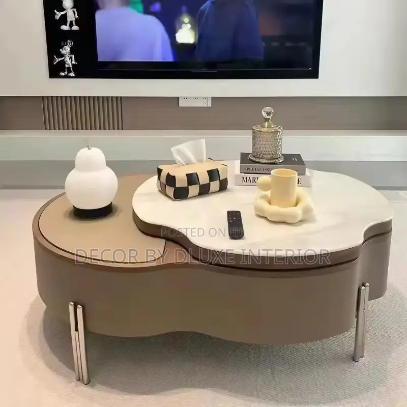 Modern Irregular Coffee Table With Storage Space