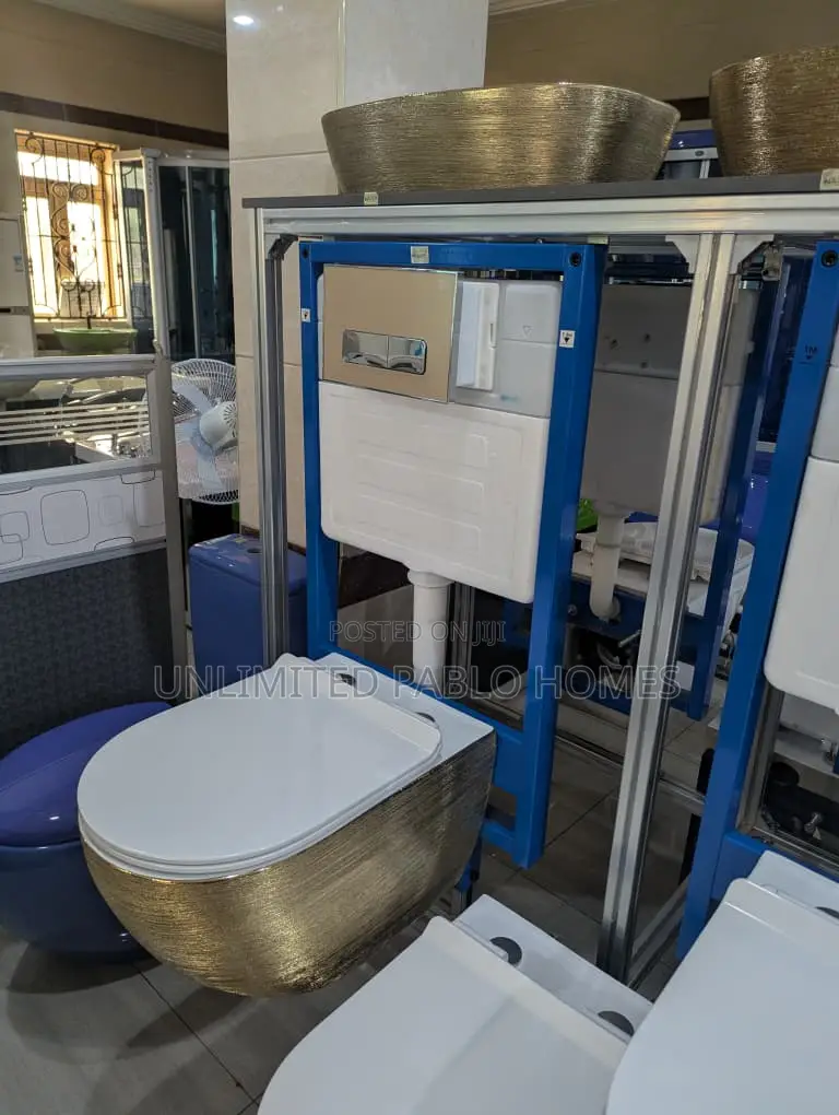Wall Hung Luxury Toilet With Concealed Cistern