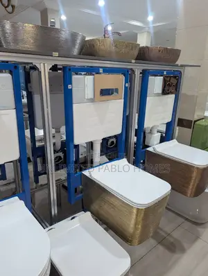 Wall Hung Luxury Toilet With Concealed Cistern