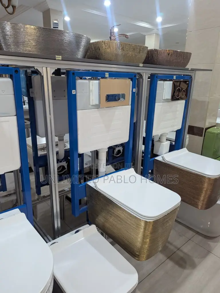 Wall Hung Luxury Toilet With Concealed Cistern