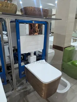 Wall Hung Luxury Toilet With Concealed Cistern
