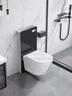 Modern Concealed Tank Wall Toilet