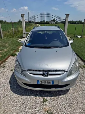 Peugeot 307 2006 Silver