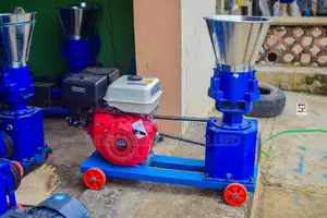 200kg/Hr Pelletizer Machine Powered With Gasoline/Electric Motor (New)