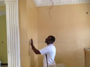 Lid House and Office Painting, Screeding and Stucco