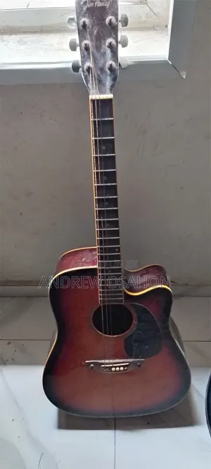 Accustic Italian Electric Box Guiter