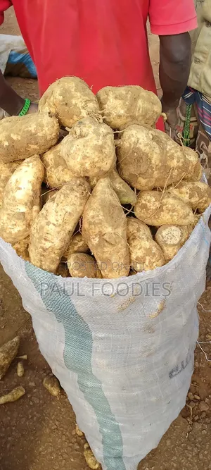 Sweet Potato Raw