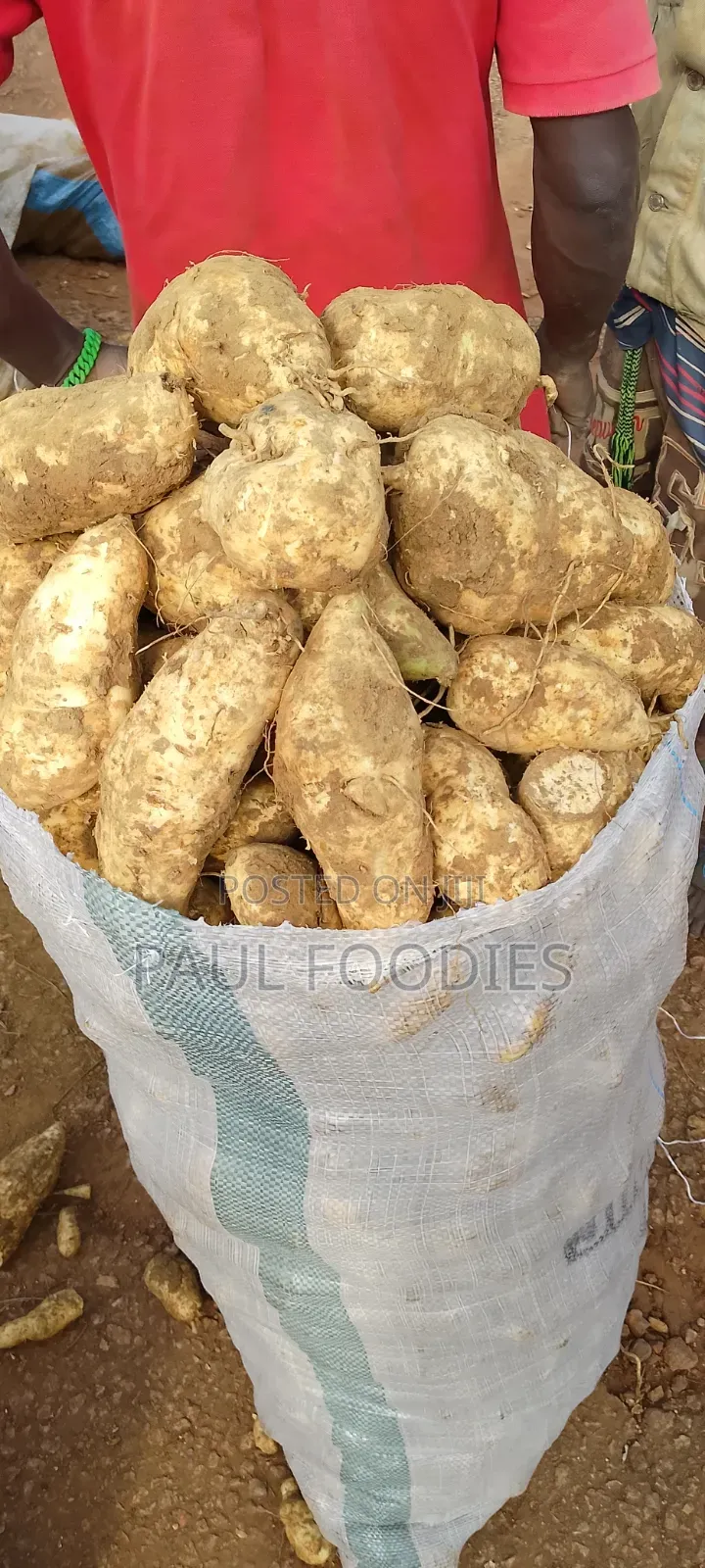 Sweet Potato Raw