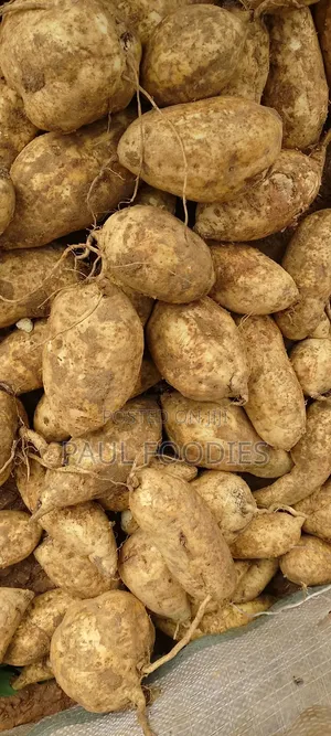 Sweet Potato Raw