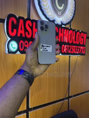 Apple iPhone 16 Pro Max 256 GB Silver
