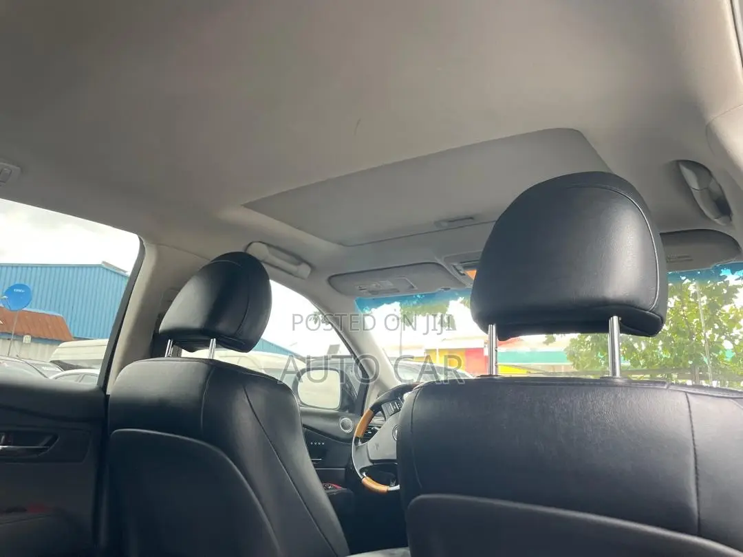 Lexus RX 2009 Gray