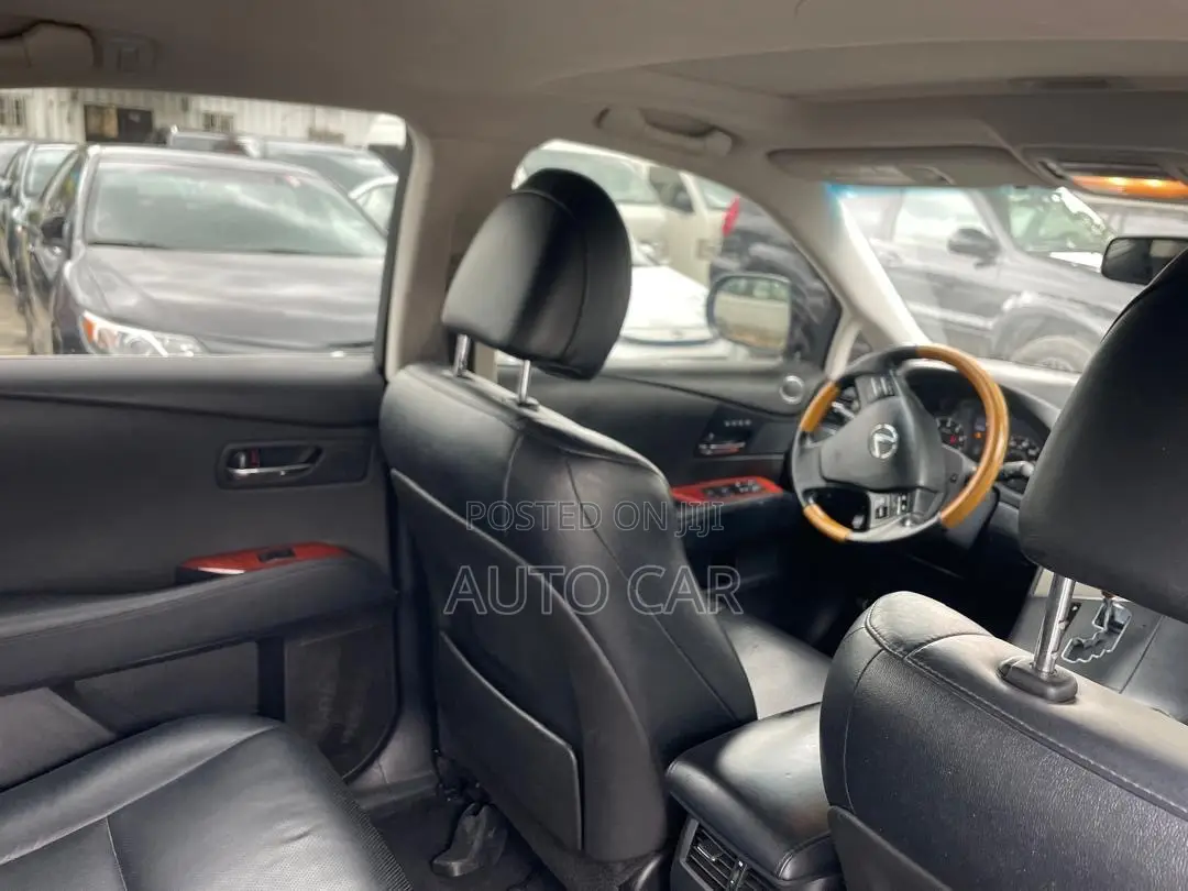 Lexus RX 2009 Gray