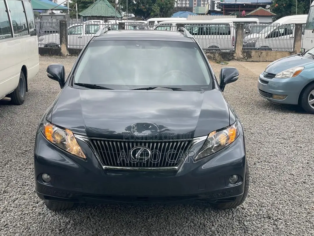 Lexus RX 2009 Gray