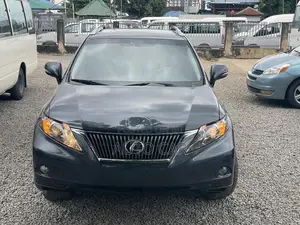 Lexus RX 2009 Gray