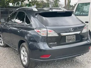 Lexus RX 2009 Gray