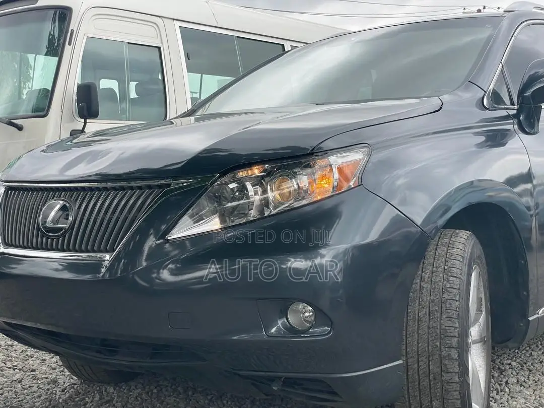 Lexus RX 2009 Gray