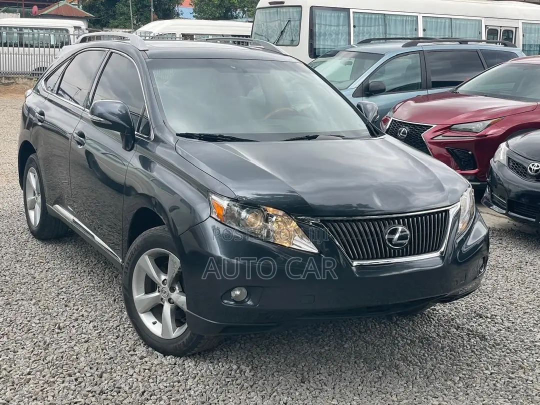 Lexus RX 2009 Gray