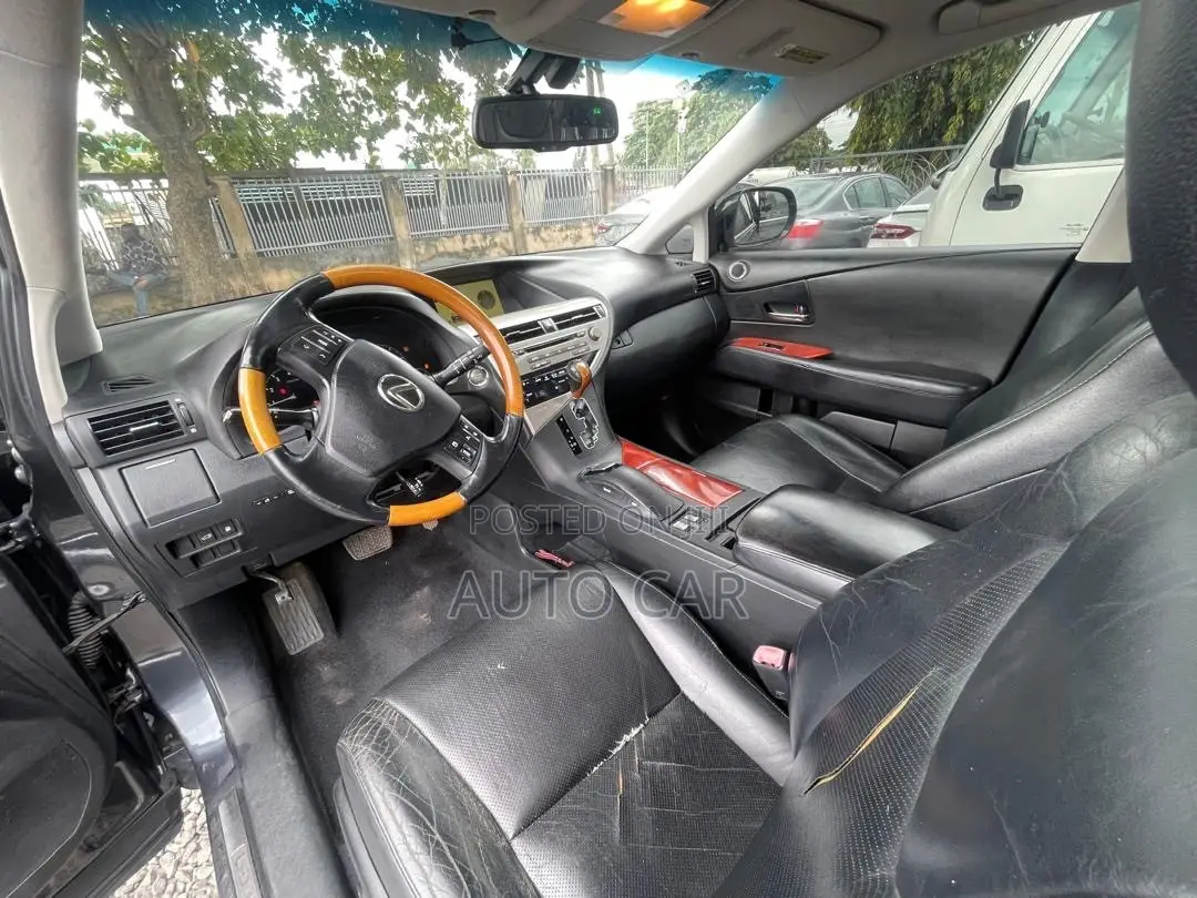 Lexus RX 2009 Gray
