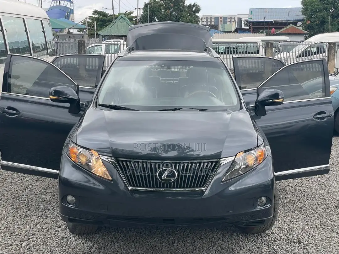 Lexus RX 2009 Gray