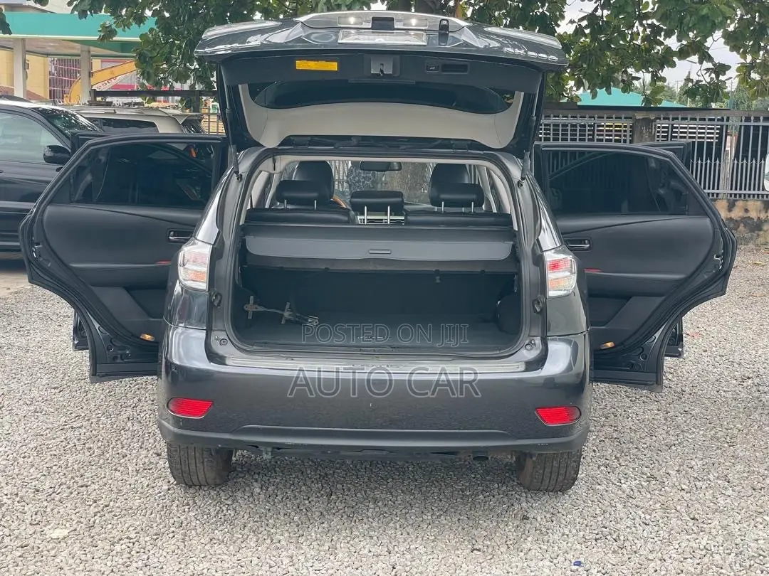 Lexus RX 2009 Gray
