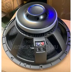 18inches Naked Speaker Double Magnet