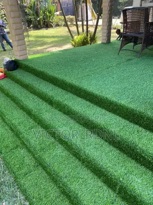 Standard Carpet Grass With Delivery
