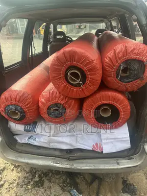 Standard Carpet Grass With Delivery