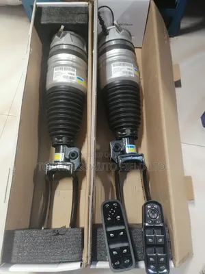 Balloon Shock Absorber