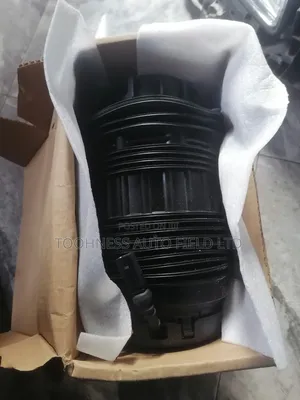 Balloon Shock Absorber