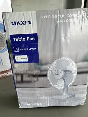 This Is a Maxi Table Fan, Model Ft40-17nb.