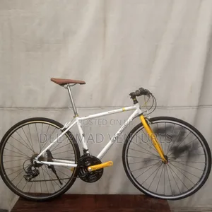 Size 28 Road Master Bicycle