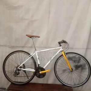 Size 28 Road Master Bicycle