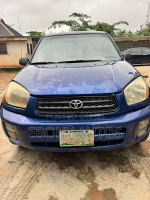 Toyota RAV4 2004 Blue