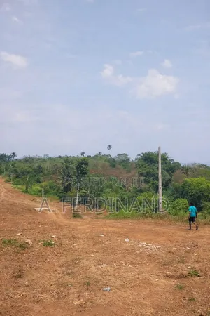 URGENT SALE: 50x100ft Plot at Peaceful Land Estate, Aba-Ofemili