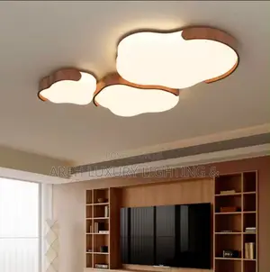 Modern Led Ceiling Light for Living Room Bedroom