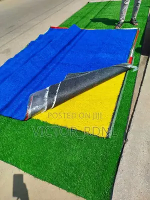Maximum Standard Carpet Grass