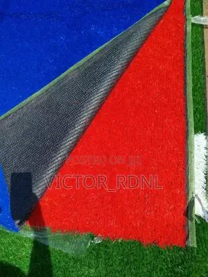 Maximum Standard Carpet Grass
