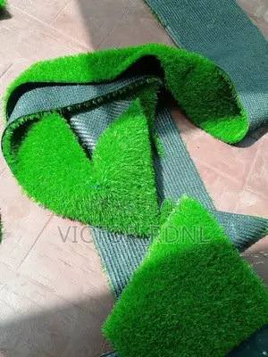 Maximum Standard Carpet Grass