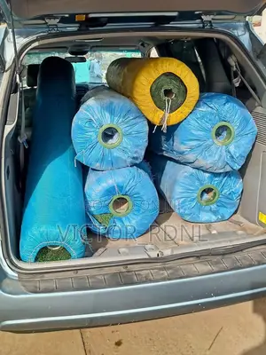 Maximum Standard Carpet Grass