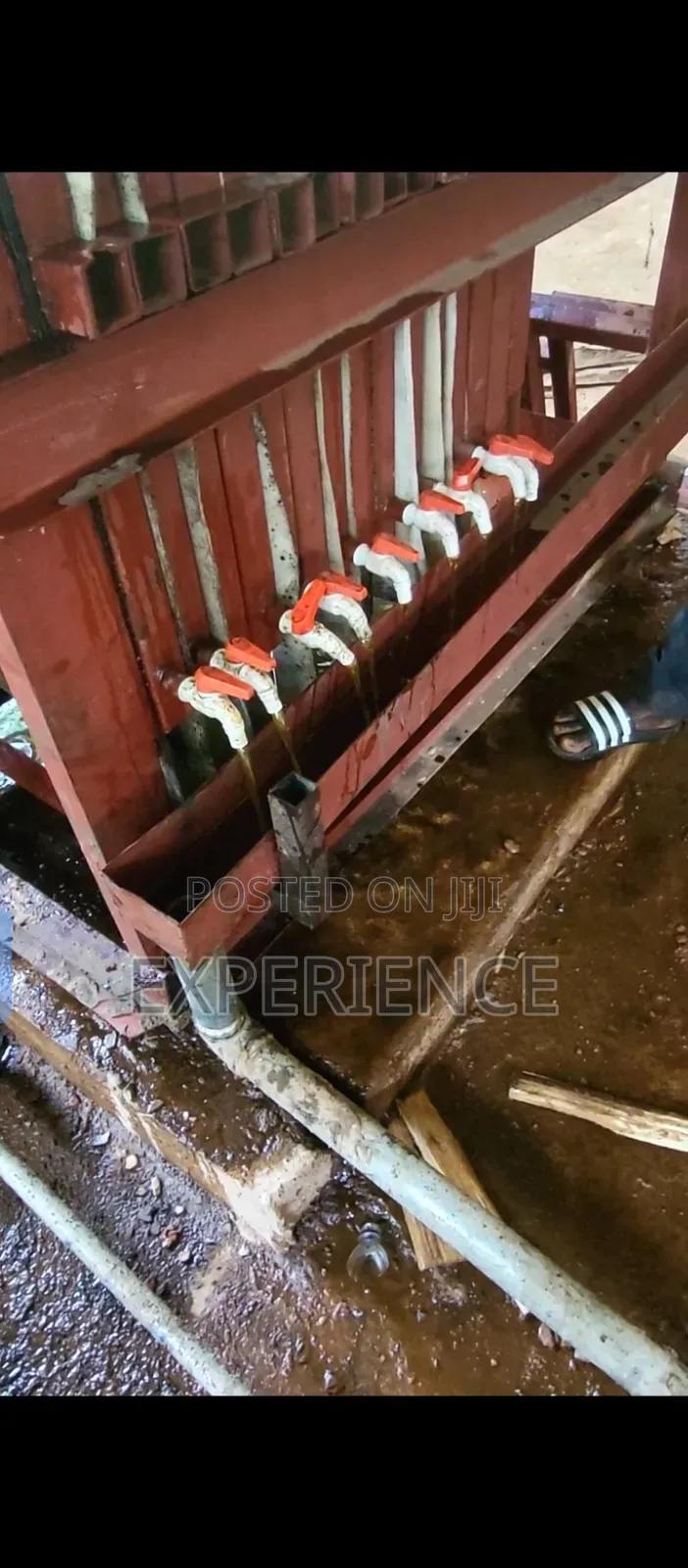 Palm Kernel Oil Filter Press