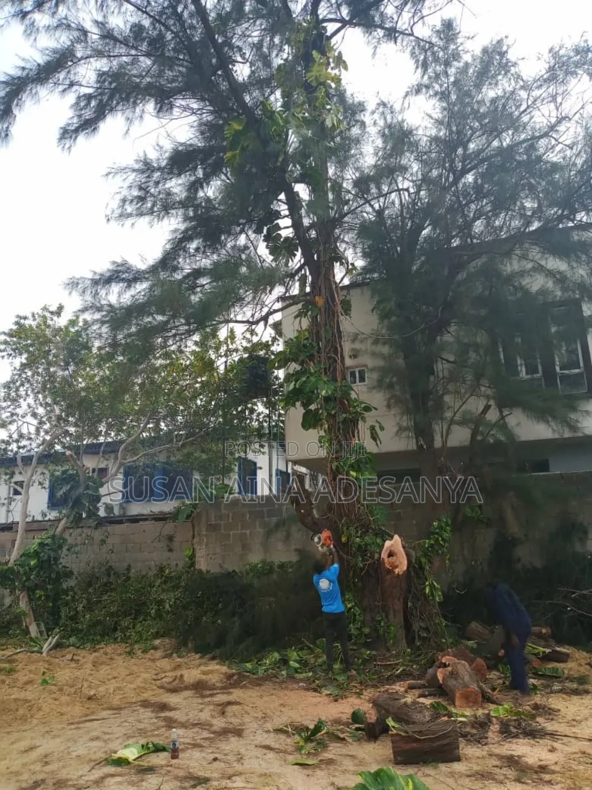 FlowTree Cutting Service