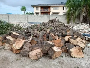 FlowTree Cutting Service