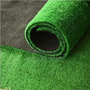 Affordable Carpet Grass in Bulk