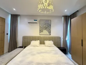 Furnished Mini Flat in Lekki Phase 1 for rent