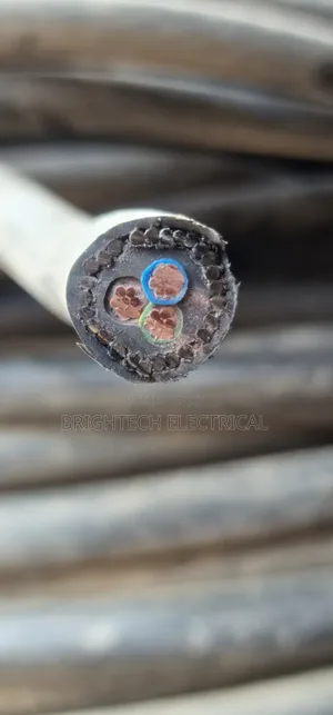 4mmx3core Armoured Cable, VATAN